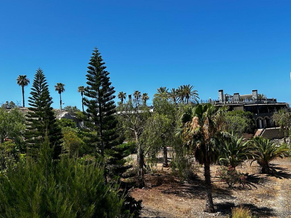 Villa Natali ,Luxury 3-Levels Large Villa On Tenerife, Ocean View, Private Poo L& Barbecue Area Costa Adeje  Exterior photo